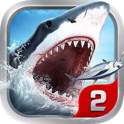 237:com-www:237:com